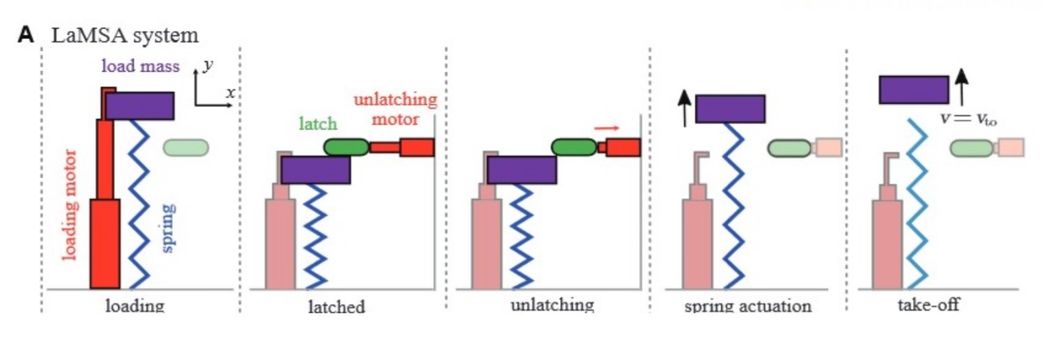 Steps of LaMSA model