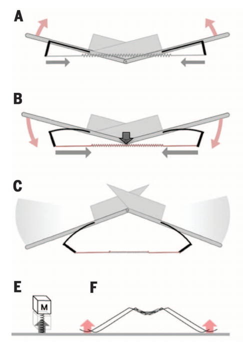 Image of the design by Koh et al, Fig. 3