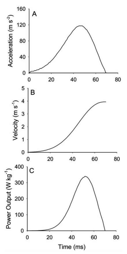 Jumping Performance from James & Wilson Figure 1