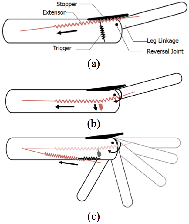 Flea-inspired torque reversal