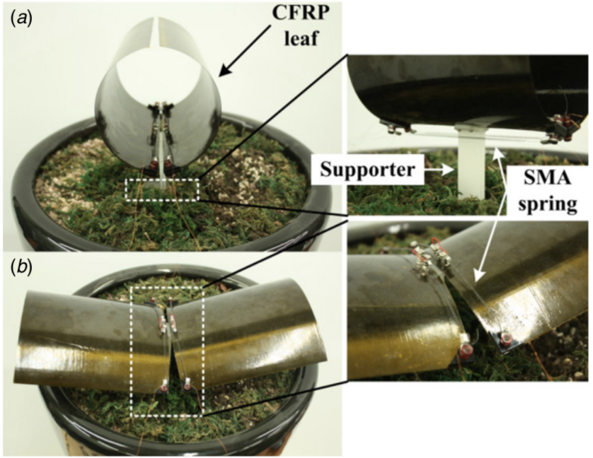 Venus Fly Trap Robot